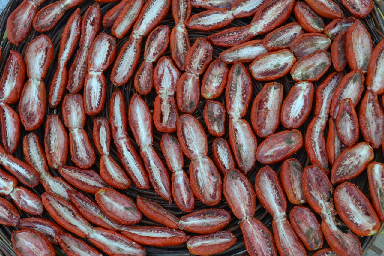 DSC_1109